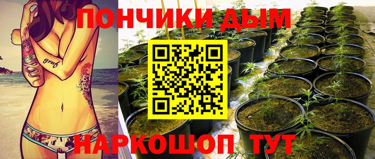 Каннабис MAZAR Нарткала